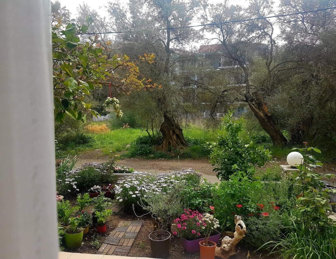 Efi'S Studio Lefkada City Ngoại thất bức ảnh