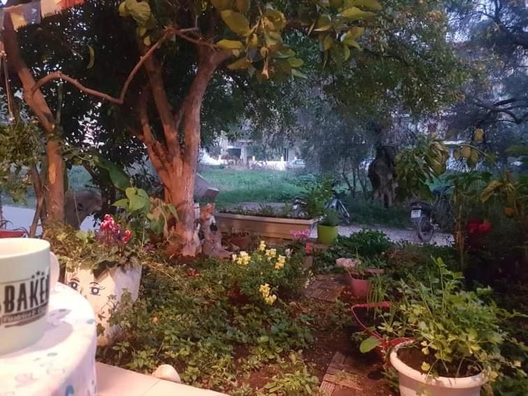Efi'S Studio Lefkada City Ngoại thất bức ảnh