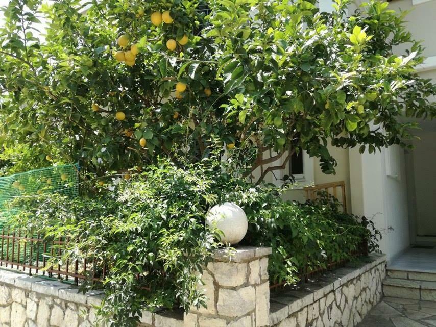 Efi'S Studio Lefkada City Ngoại thất bức ảnh